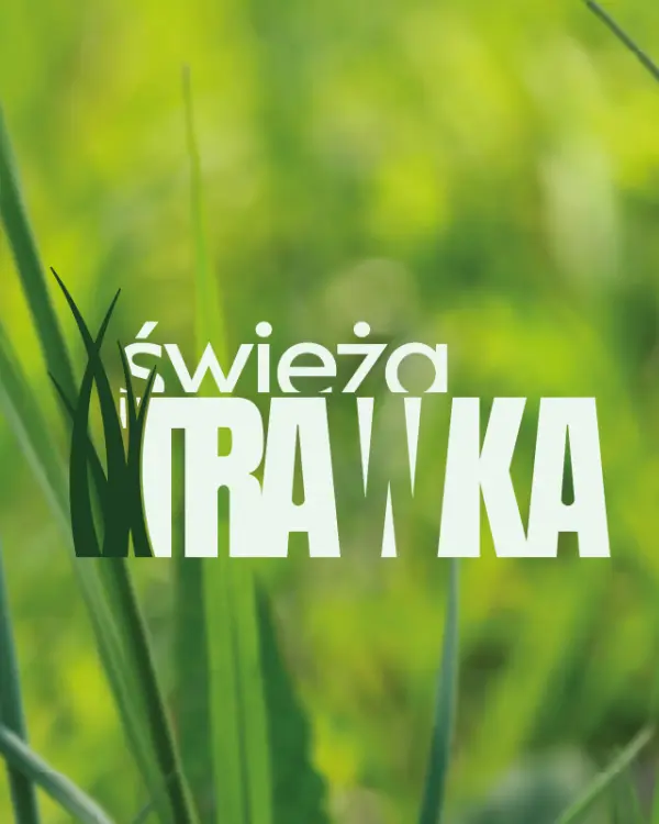 Logo Świeża Trawka na tle źdźbeł trawy