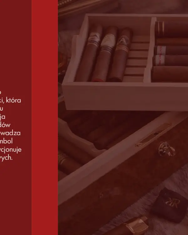 Burbuja Humidor, prezentacja logo: koncepcja marki na tle humidora z cygarami